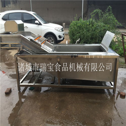 内蒙古小柿子净菜加工设备价格 多图
